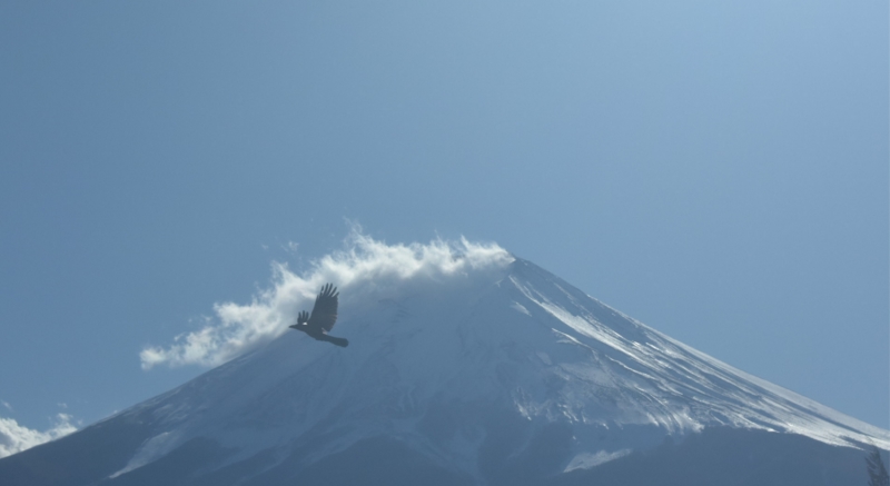 富士山画像記録