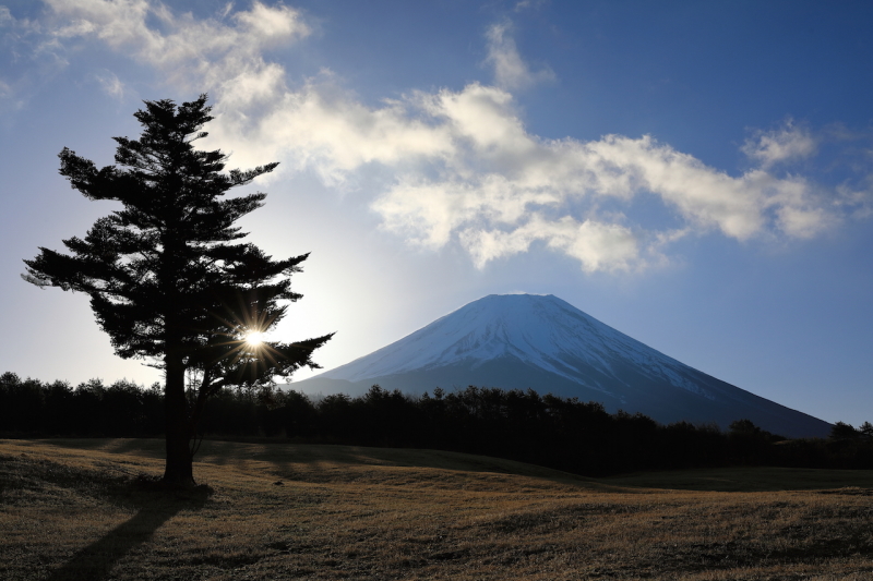 富士山画像作品