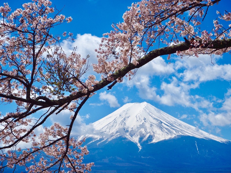 富士山画像作品