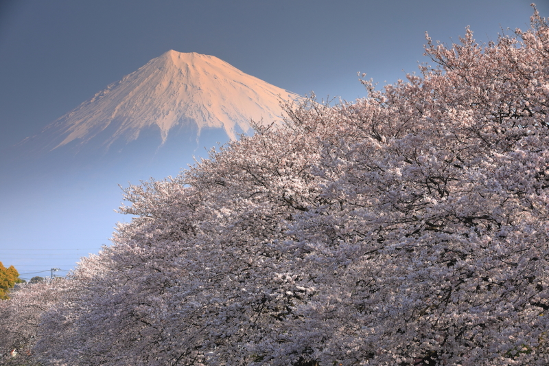 富士山画像作品