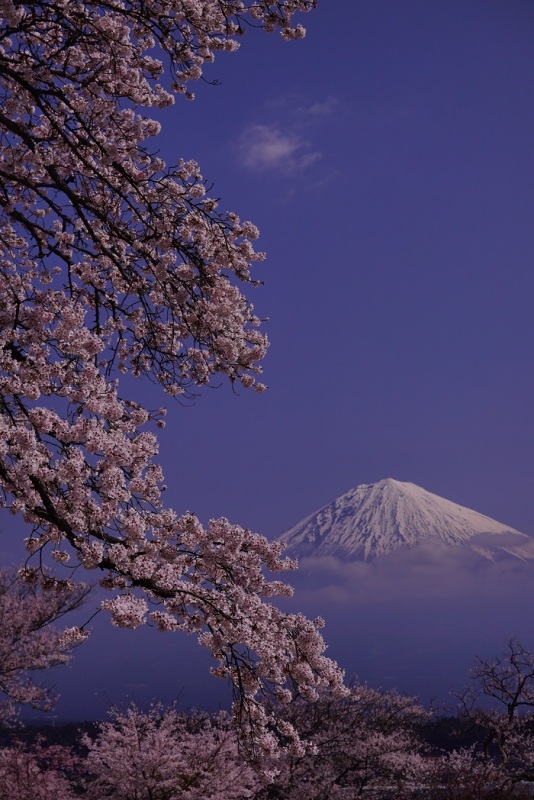 富士山画像作品