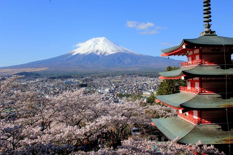 富士山画像記録