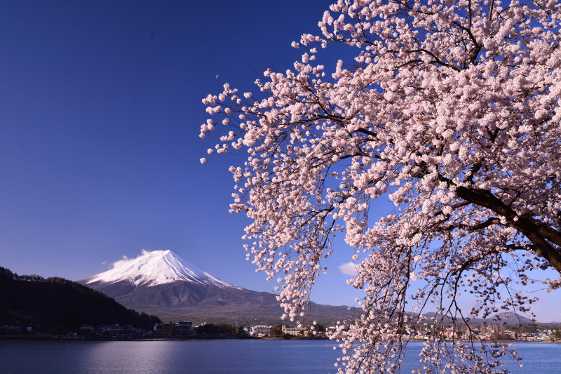 富士山画像作品