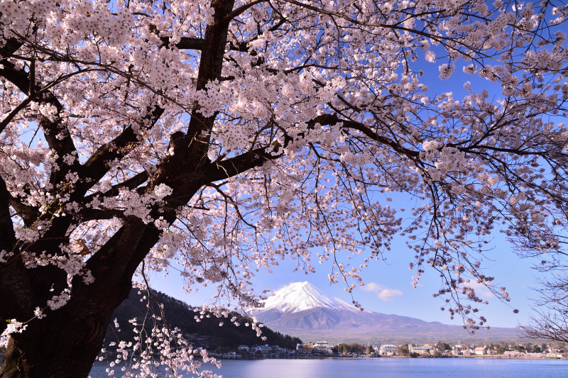 富士山画像作品