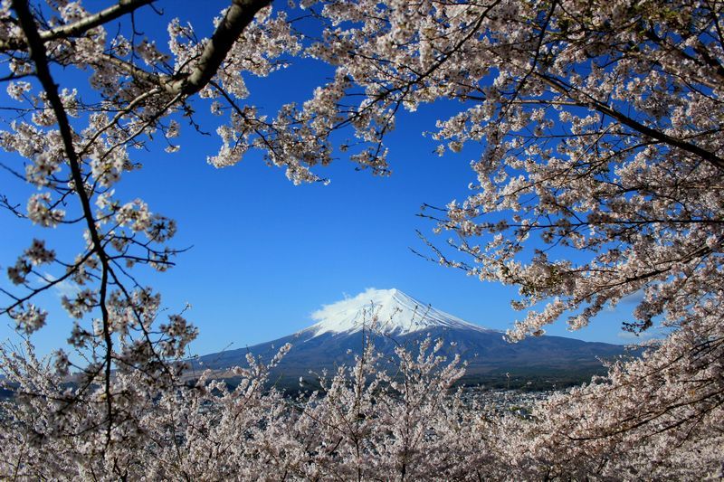 富士山画像作品