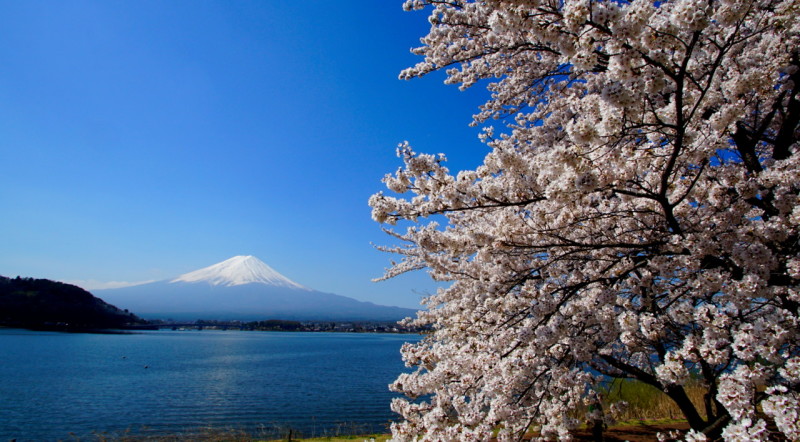 富士山画像記録