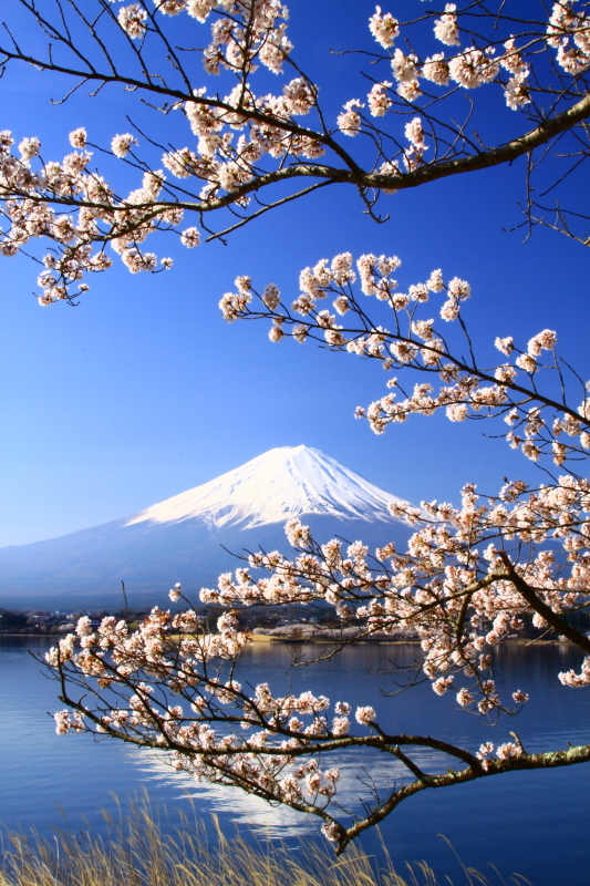 富士山画像記録