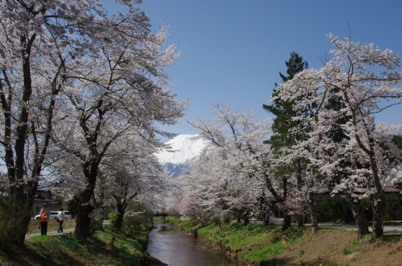 富士山画像記録