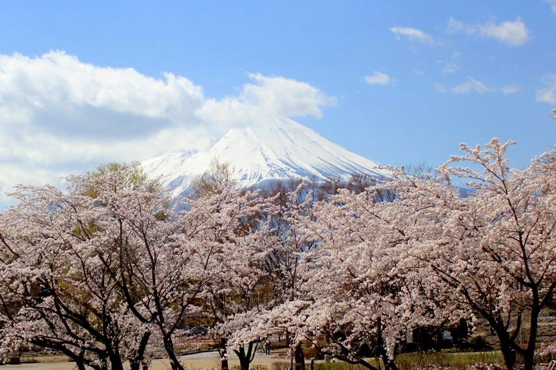 富士山画像記録