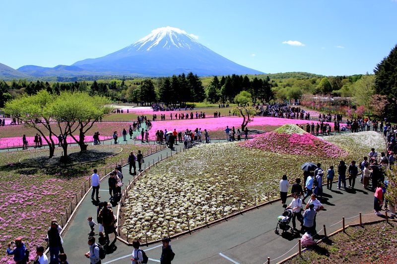富士山画像記録