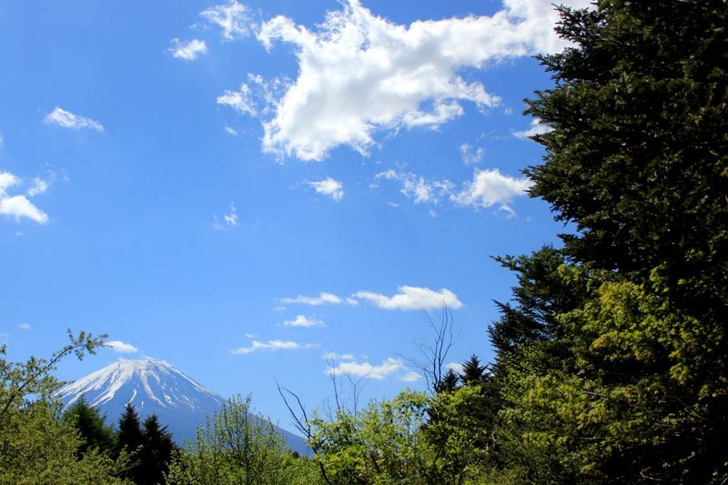 富士山画像記録