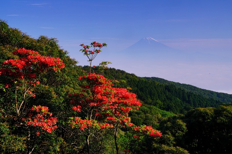 富士山画像作品