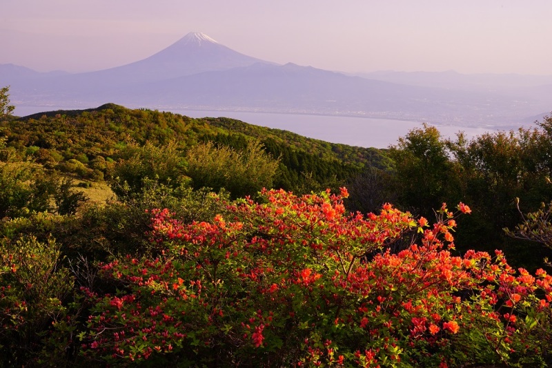 富士山画像作品