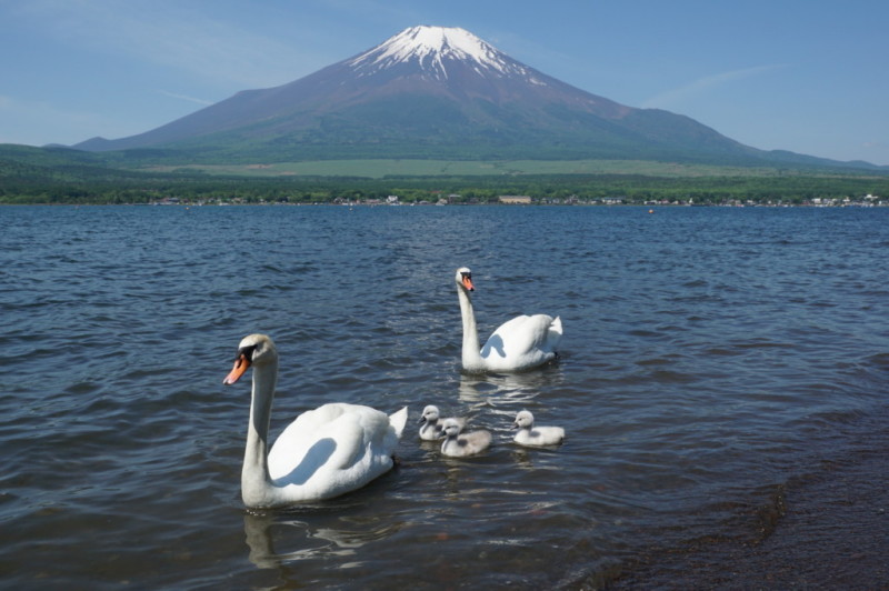 富士山画像記録
