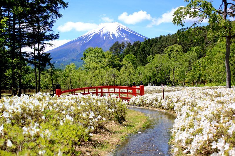 富士山画像記録