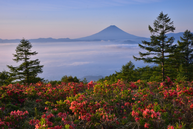 富士山画像作品