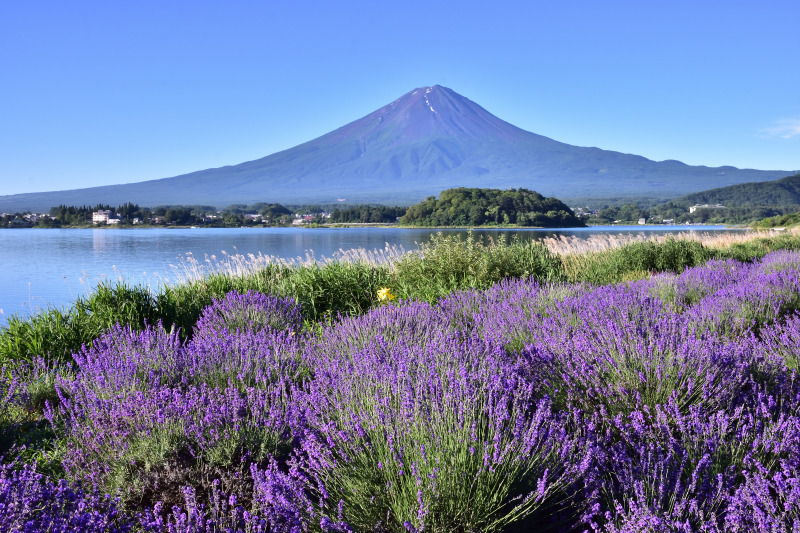 富士山画像作品