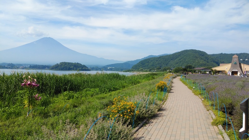富士山画像記録