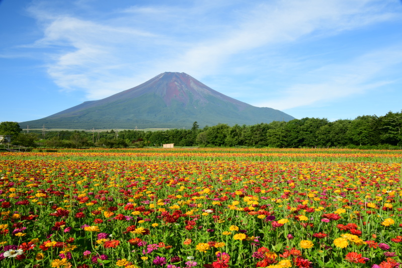 富士山画像記録