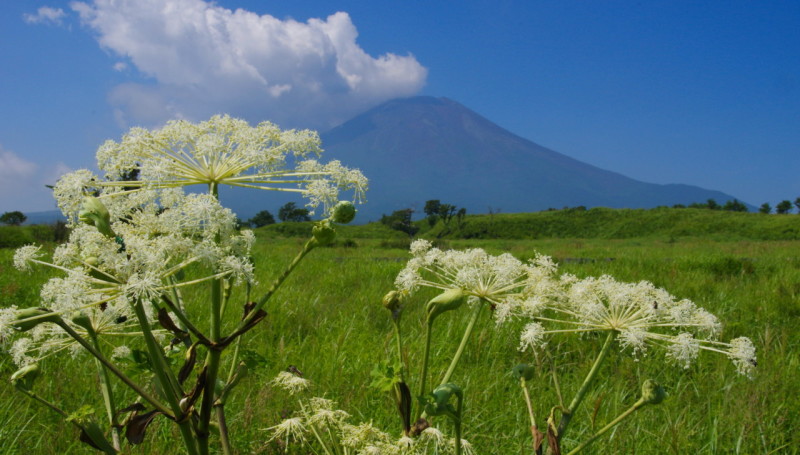 富士山画像記録
