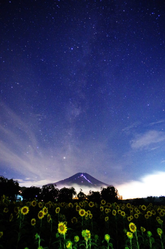富士山画像記録