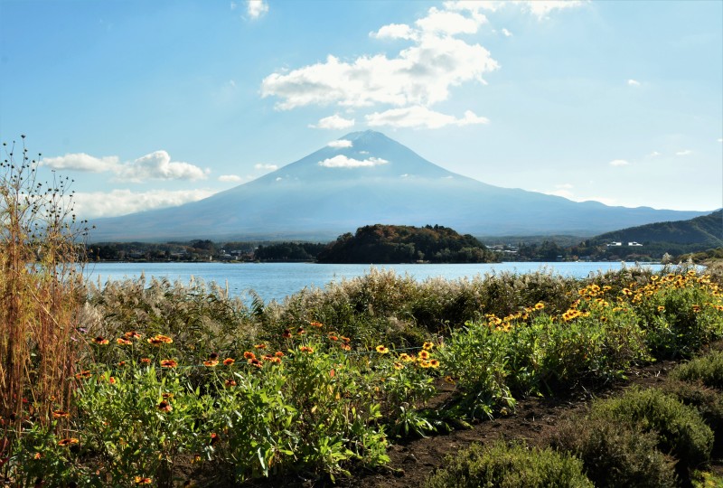 富士山画像記録