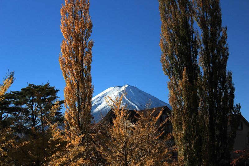 富士山画像記録