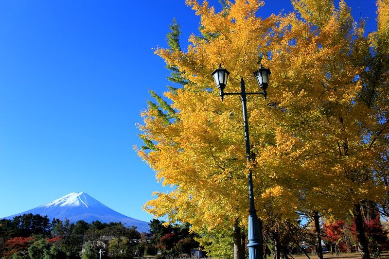 富士山画像記録