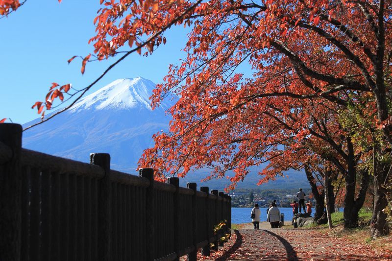 富士山画像記録