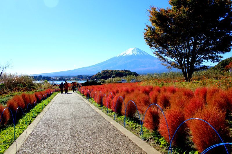 富士山画像記録