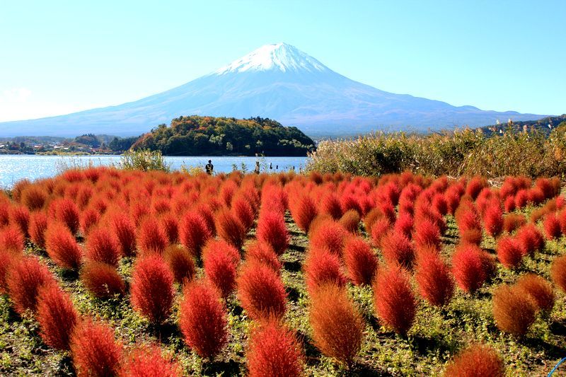 富士山画像記録