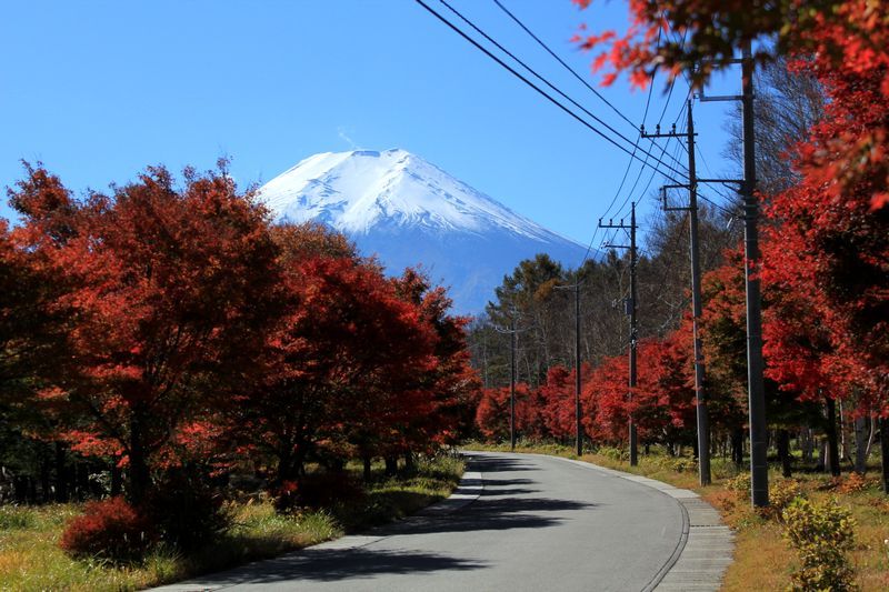 富士山画像記録