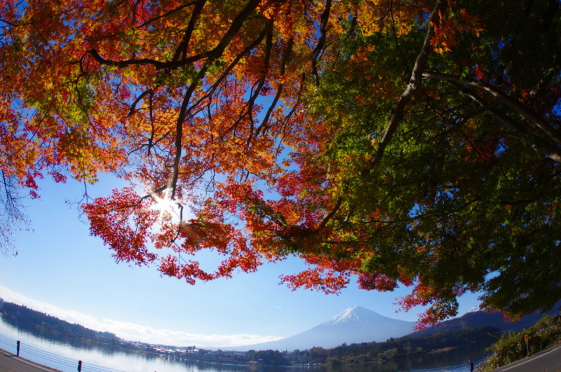 富士山画像記録