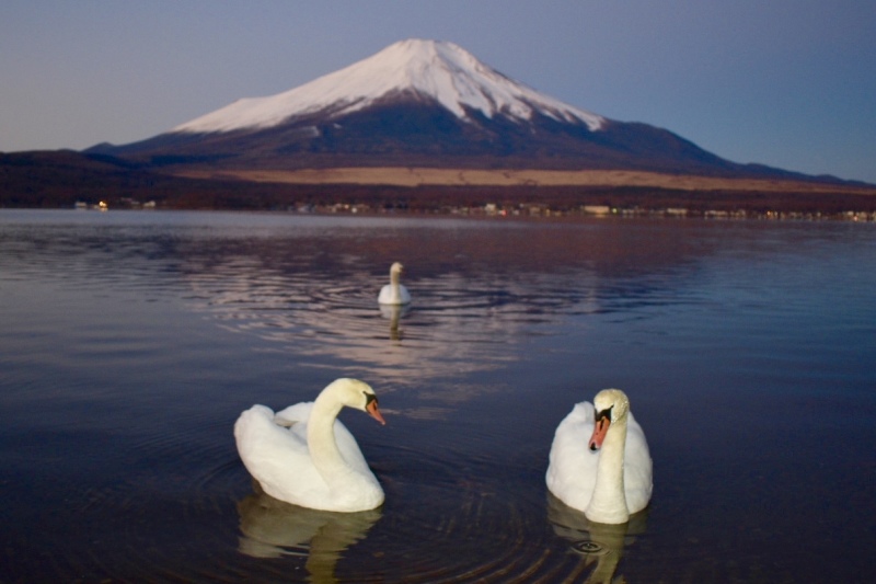 富士山画像記録