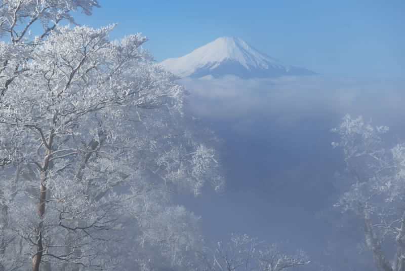 富士山画像作品