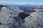 富士山画像記録