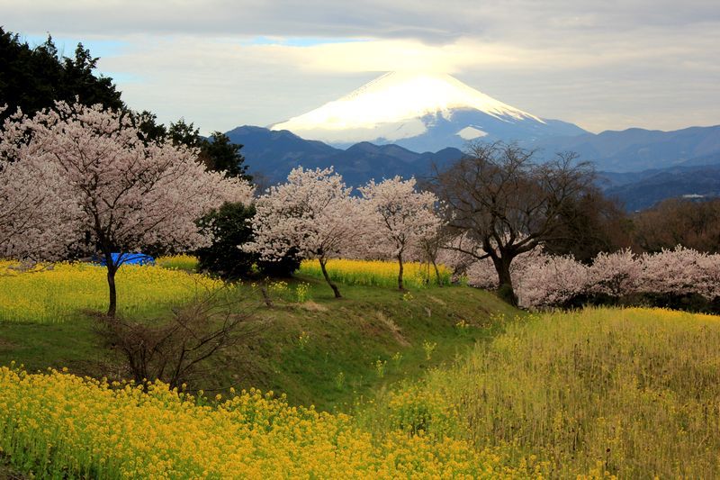 富士山画像記録