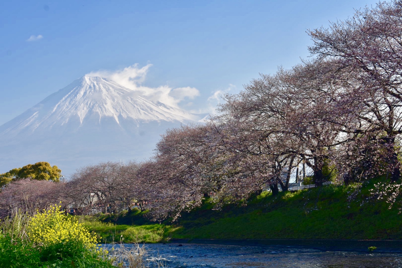 富士山画像記録