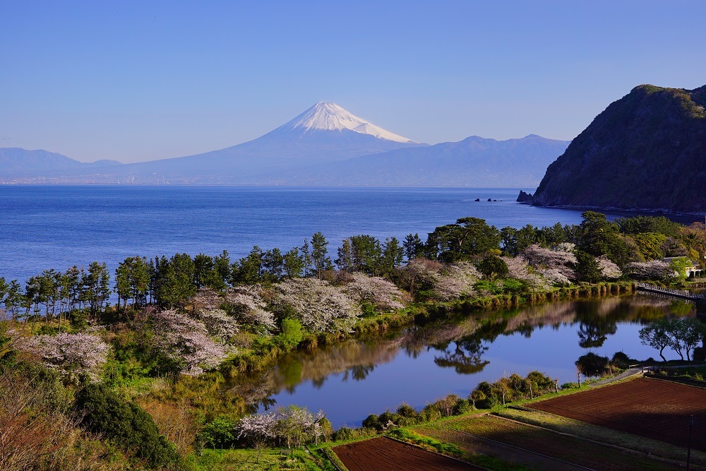 富士山画像作品