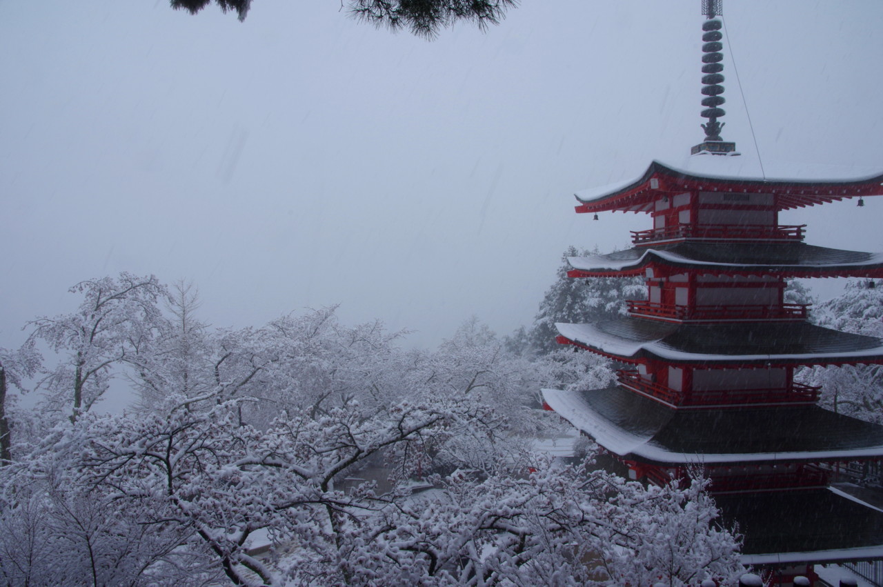富士山画像記録