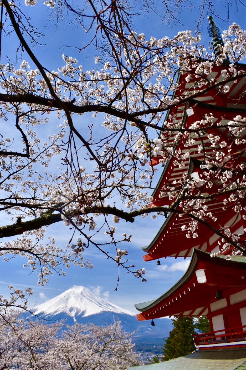 富士山画像記録