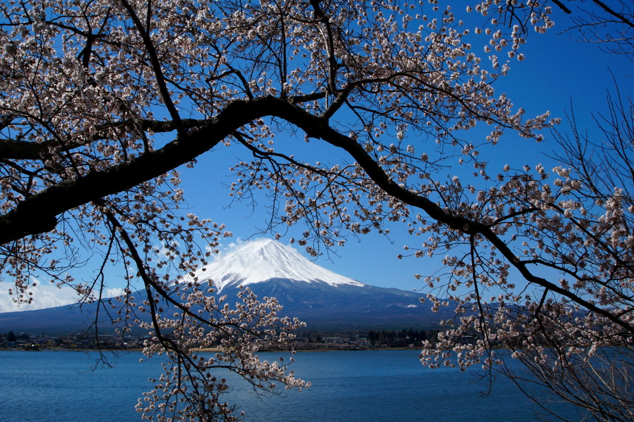 富士山画像記録