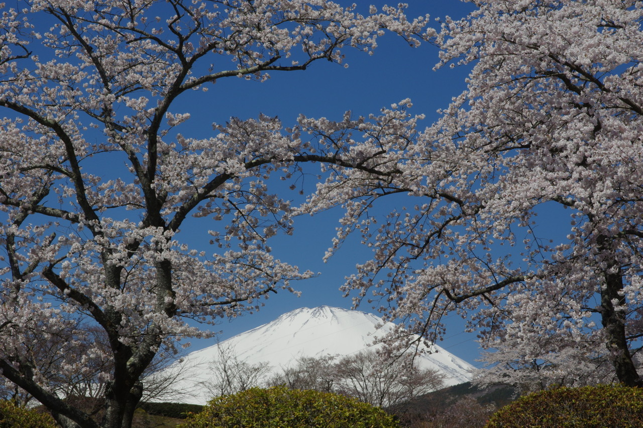 富士山画像記録