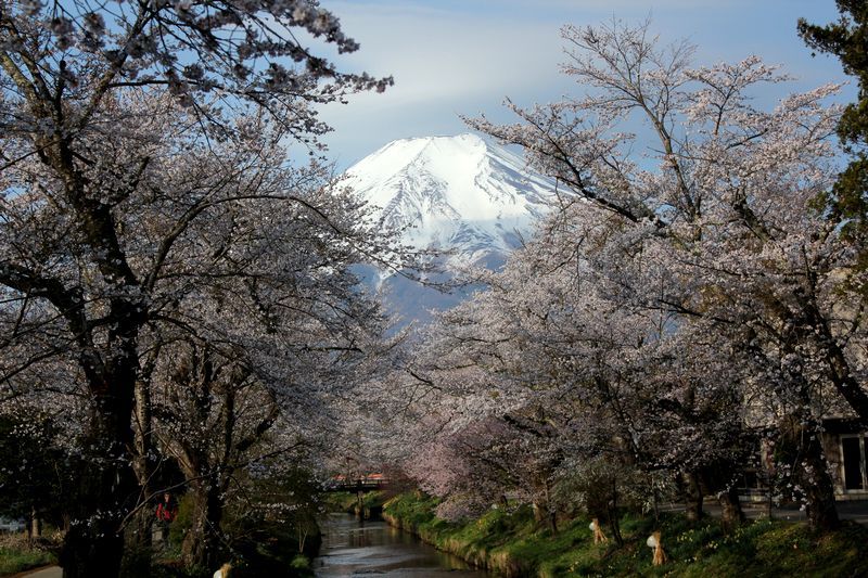 富士山画像記録