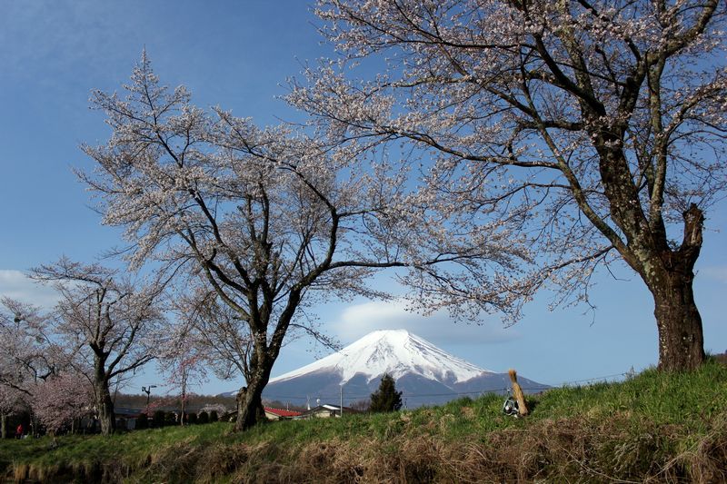 富士山画像記録