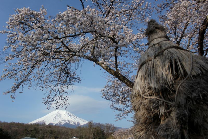 富士山画像記録