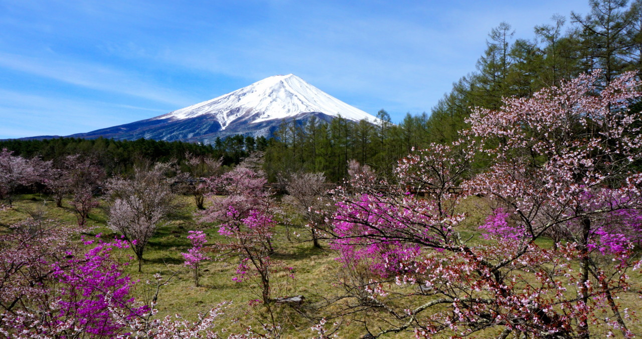 富士山画像記録