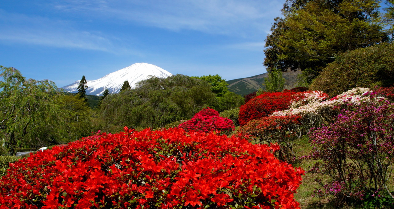 富士山画像記録