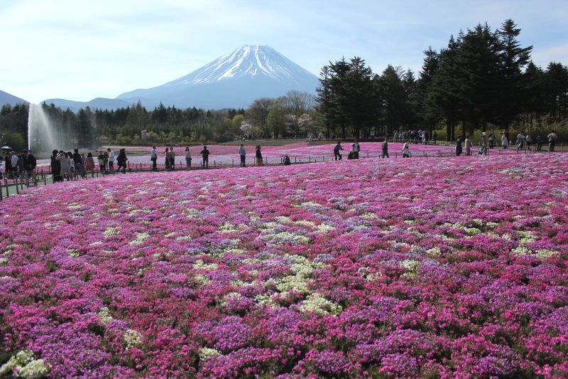 富士山画像記録