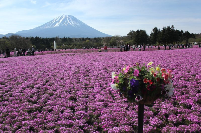 富士山画像記録
